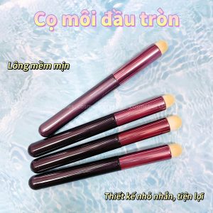 Cọ môi che khuyết điểm đầu tròn đa công dụng tiện lợi CMDT01