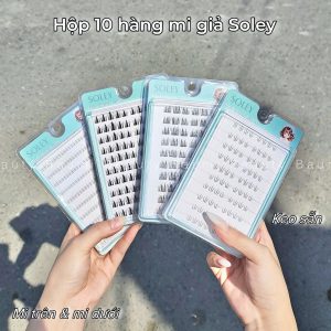 [ Hộp 10 hàng ] Mi giả sợi rời sẵn keo SOLEY Pro Cluster Lashes