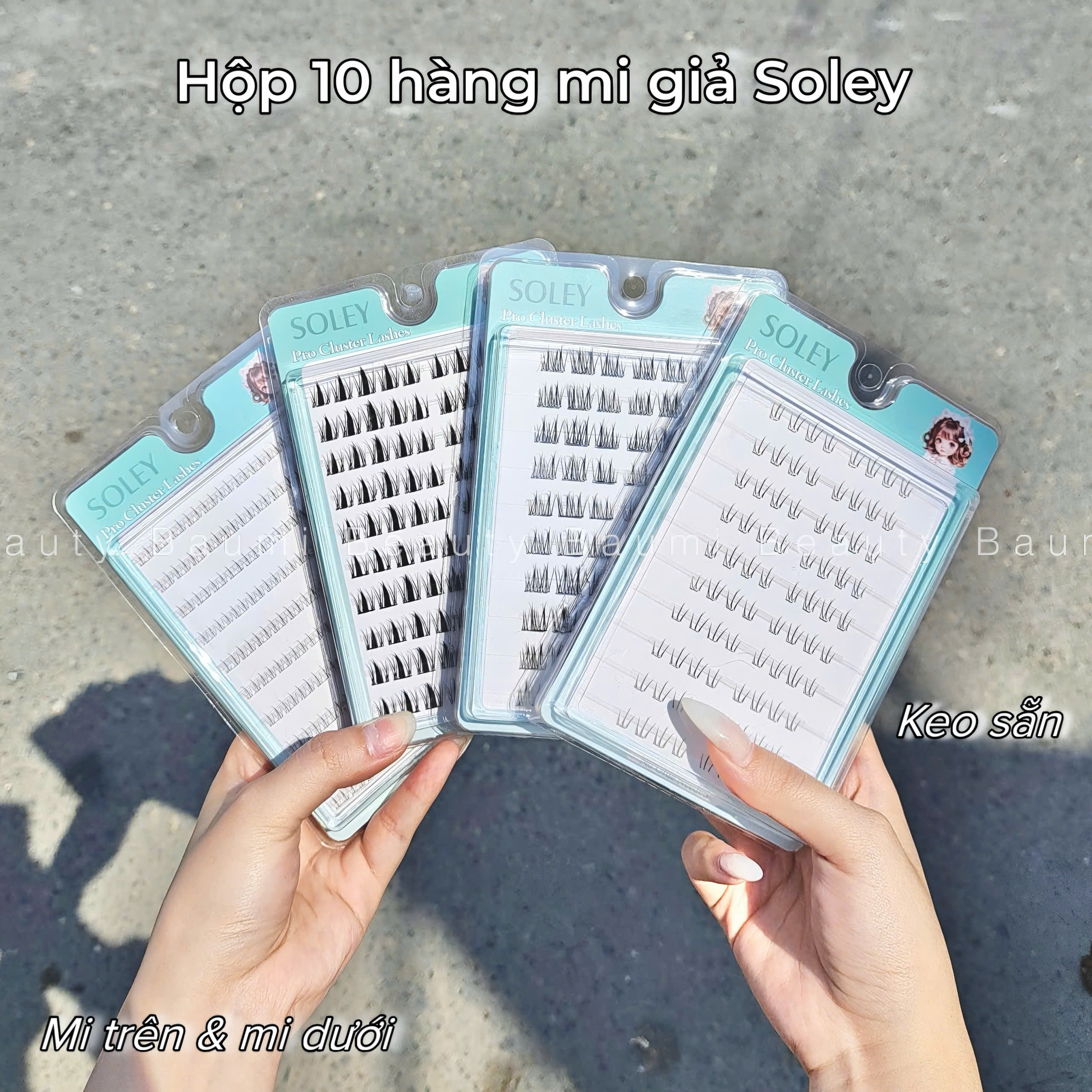 [ Hộp 10 hàng ] Mi giả sợi rời sẵn keo SOLEY Pro Cluster Lashes